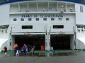 DFDS Dagscruise Øresund - 163